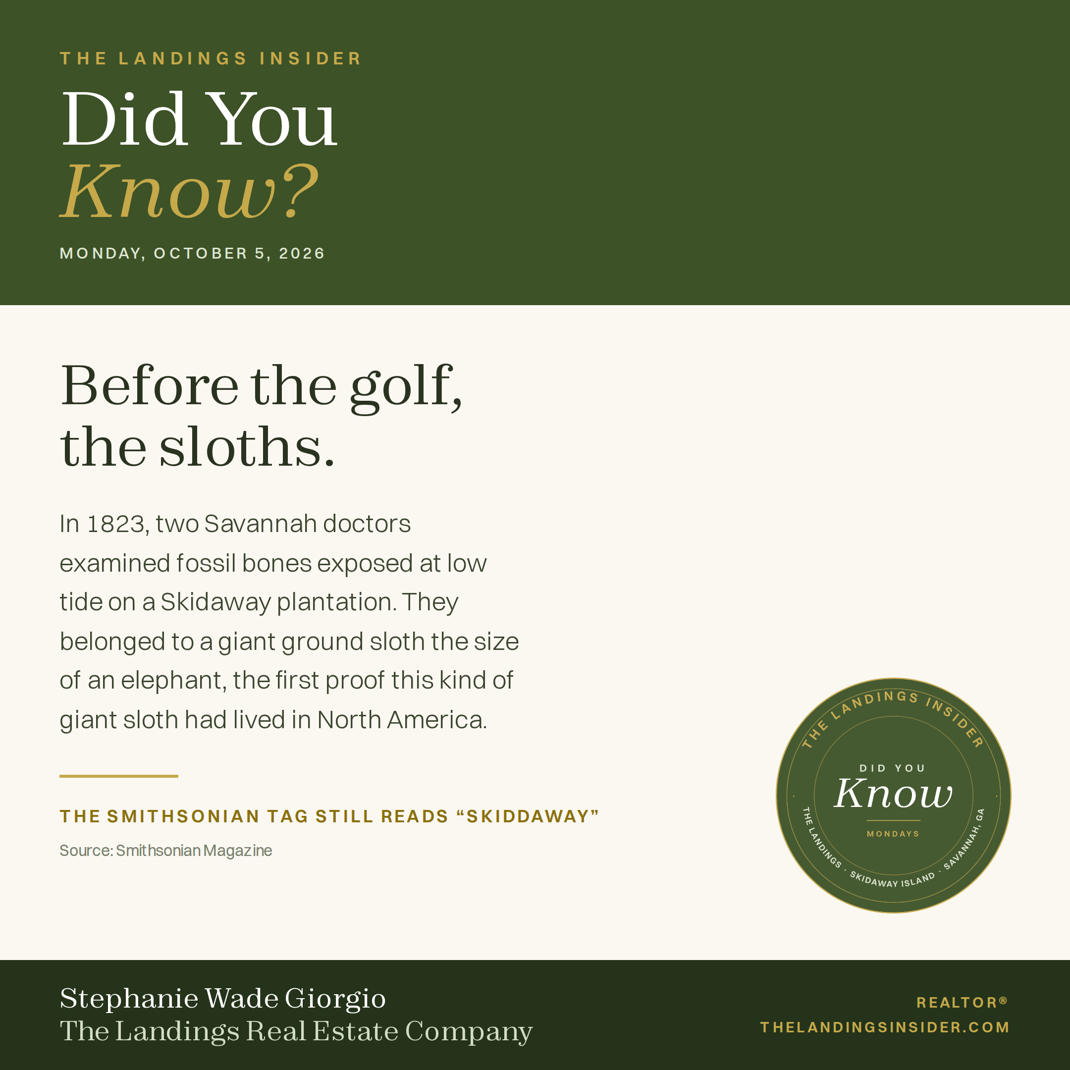 The Landings Insider Did You Know card: Before the golf, the sloths. Giant ground sloth fossils were found on Skidaway Island in 1823.