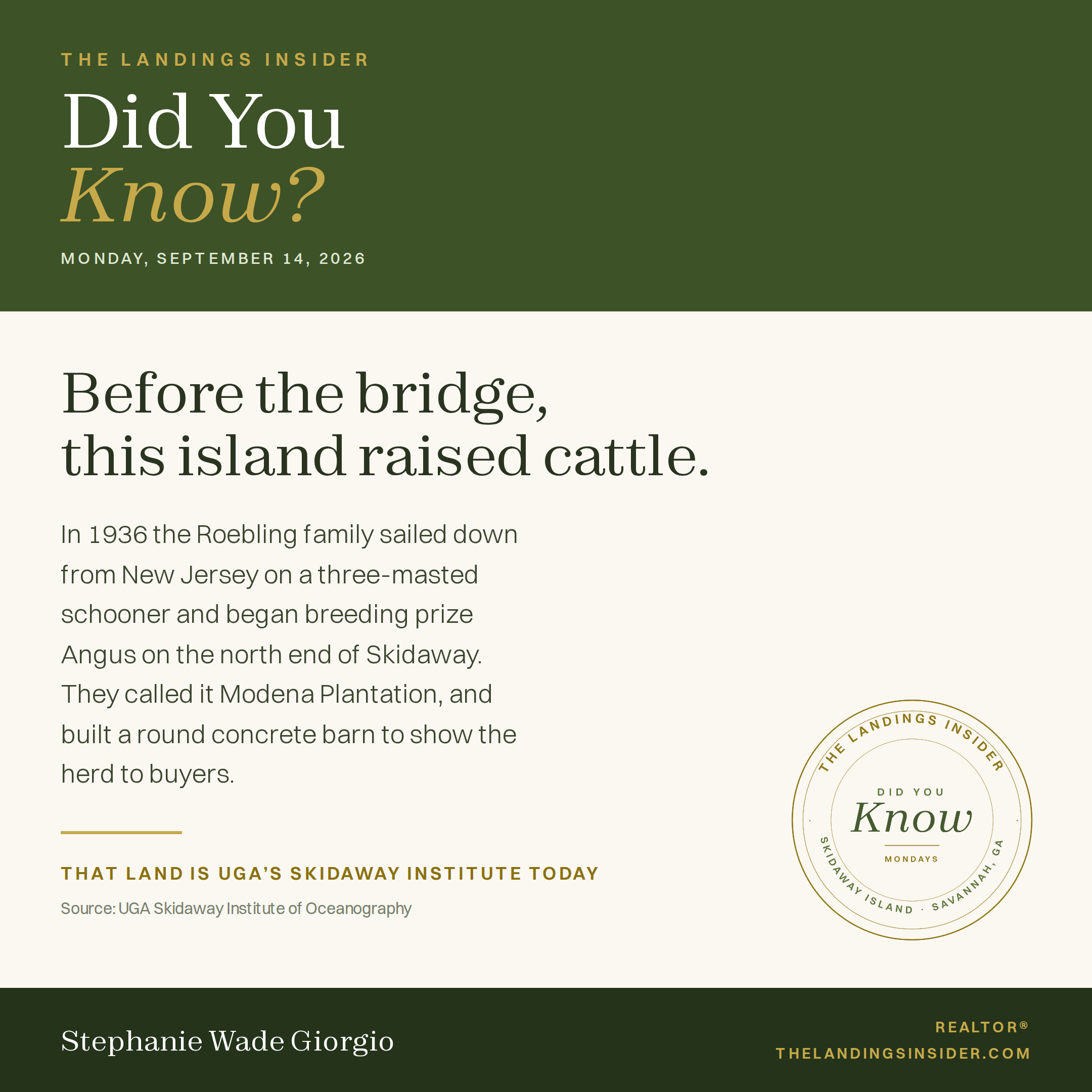 The Landings Insider Did You Know card: before the bridge, the north end of Skidaway Island was the Roebling family's Modena Plantation cattle ranch.